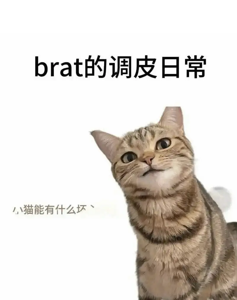 Dirty talk是什么 - 2025-11-13 192048
