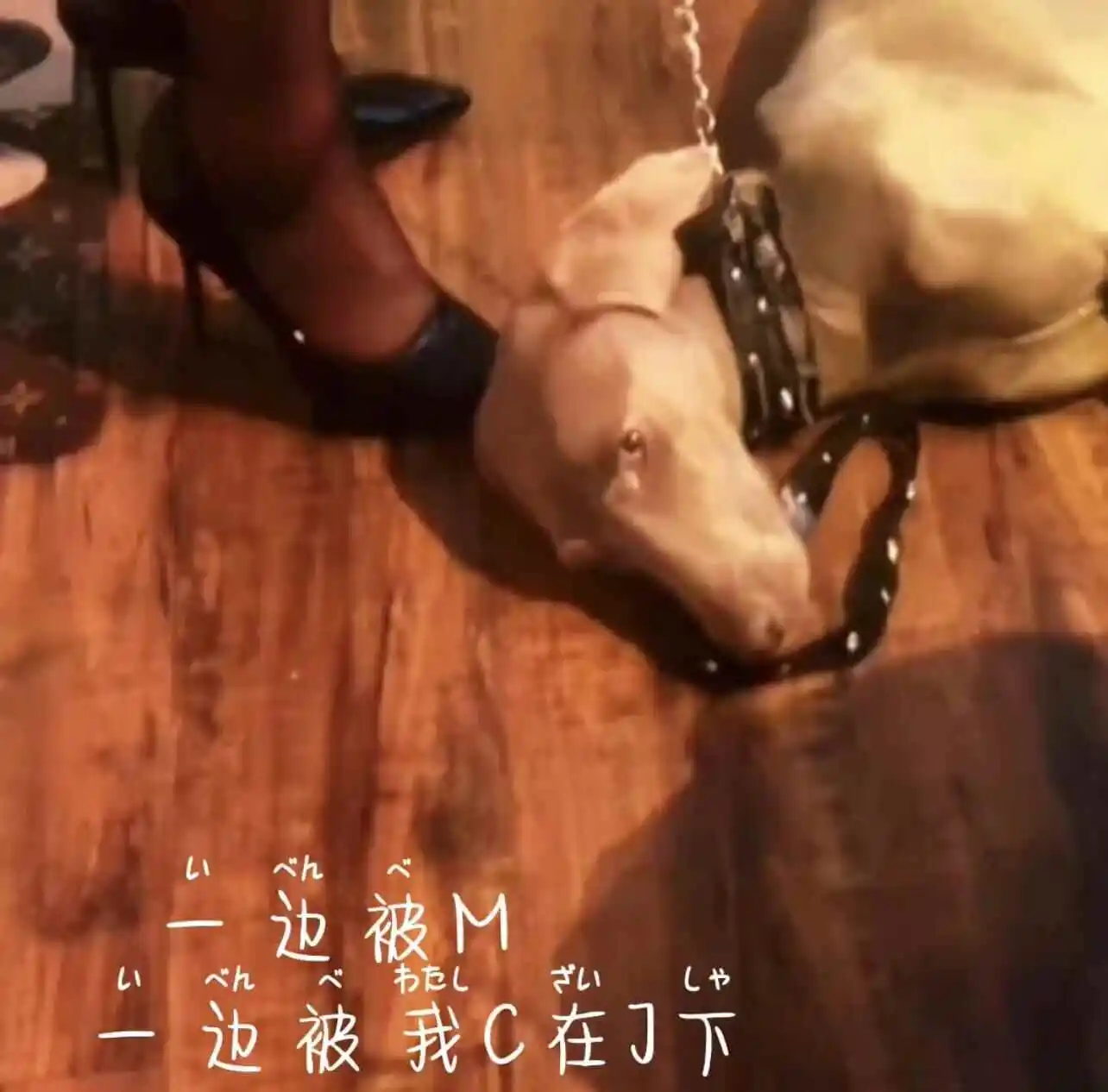s属性 - 2023_11_07_20_50_IMG_8911