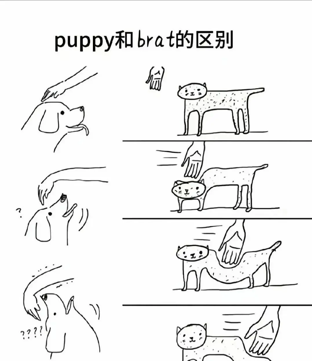 【西檬之家】BD是什么？字母圈新人入圈指南，一文读懂BDSM核心术语