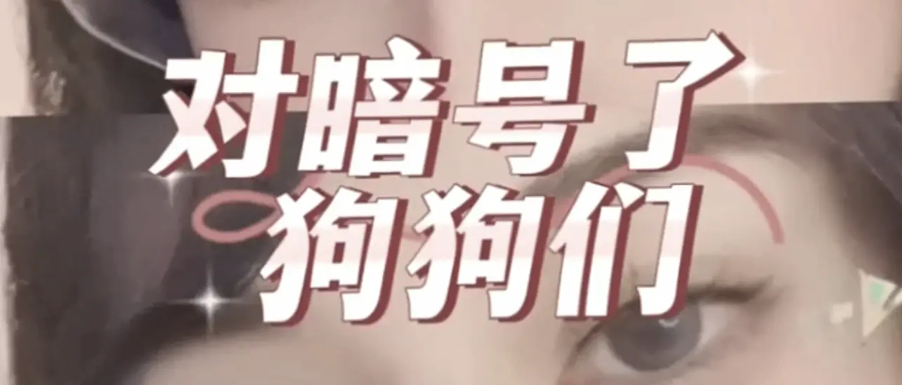 西檬之家-恋足癖在字母圈中的定位与安全指南