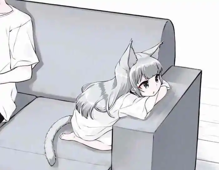 s属性：实用指南