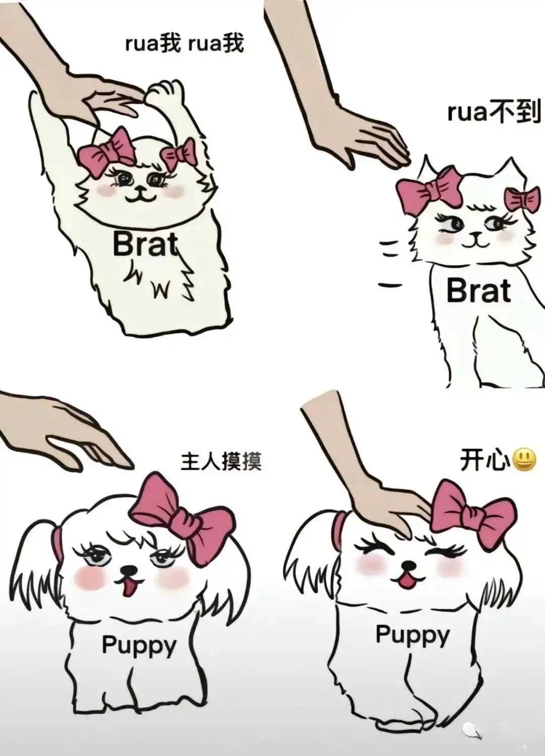 【西檬之家】DS关系：字母圈新人入圈指南
