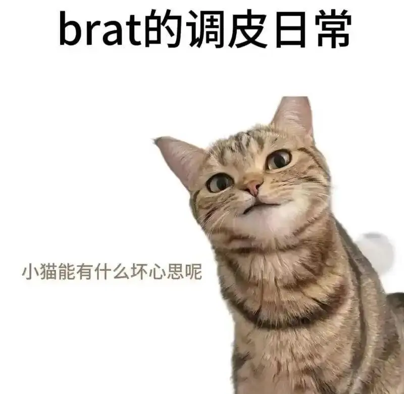 【西檬之家】小圈与大圈的区别及BDSM新人入门指南